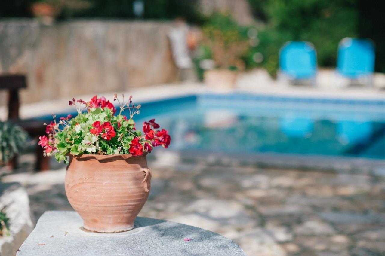 Villa Toula With Pool Nr Armeni Crete Makhairoi Екстер'єр фото